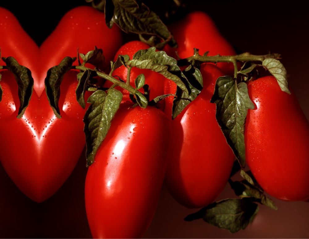 Pomodori per pelati